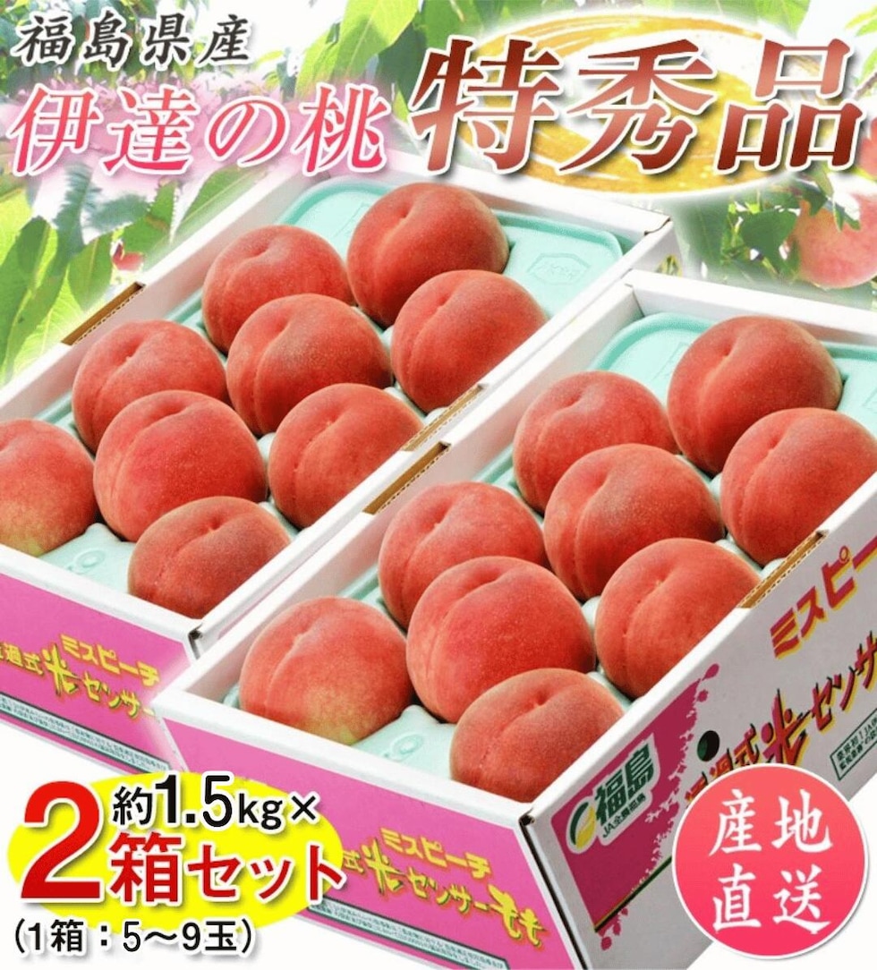 福島県産伊達の桃