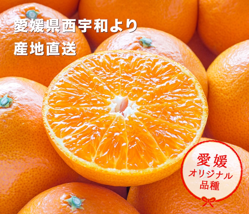 愛媛プリンセスイメージ