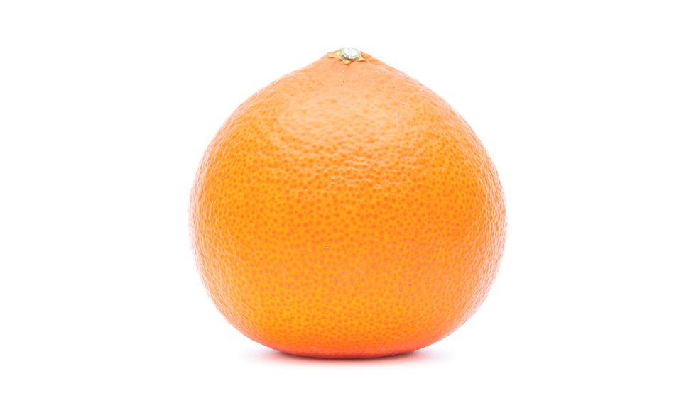 愛媛プリンセス