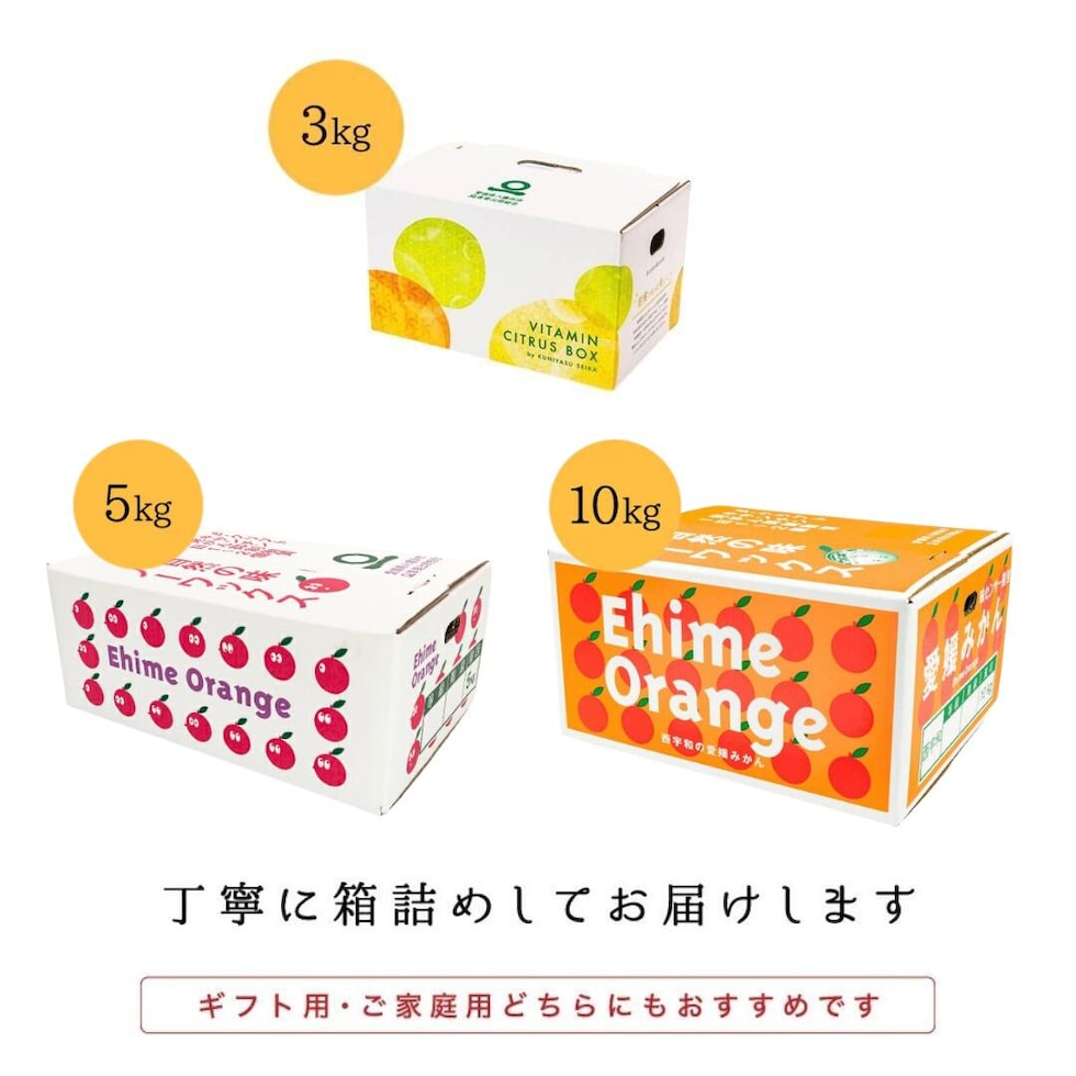 商品ラインナップ