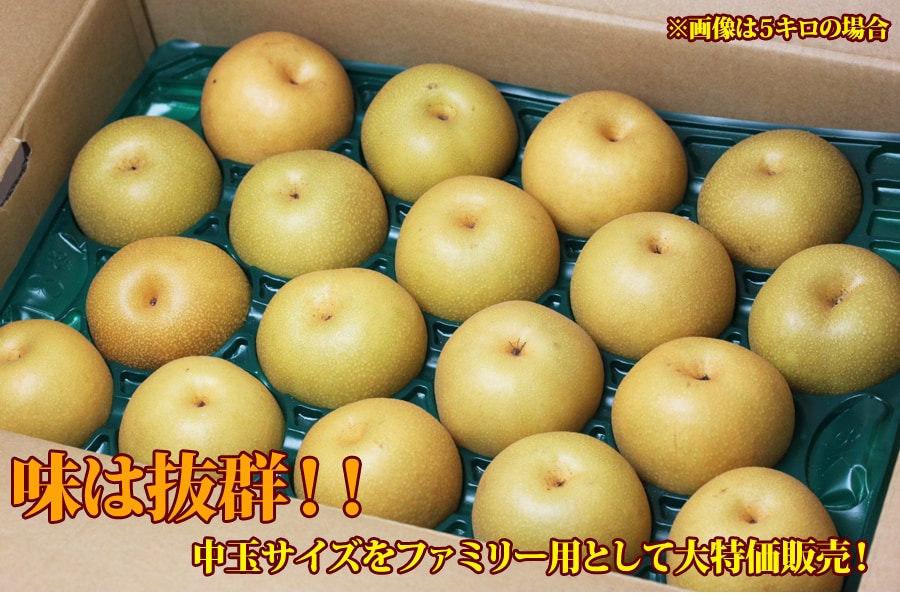 豊水梨イメージ