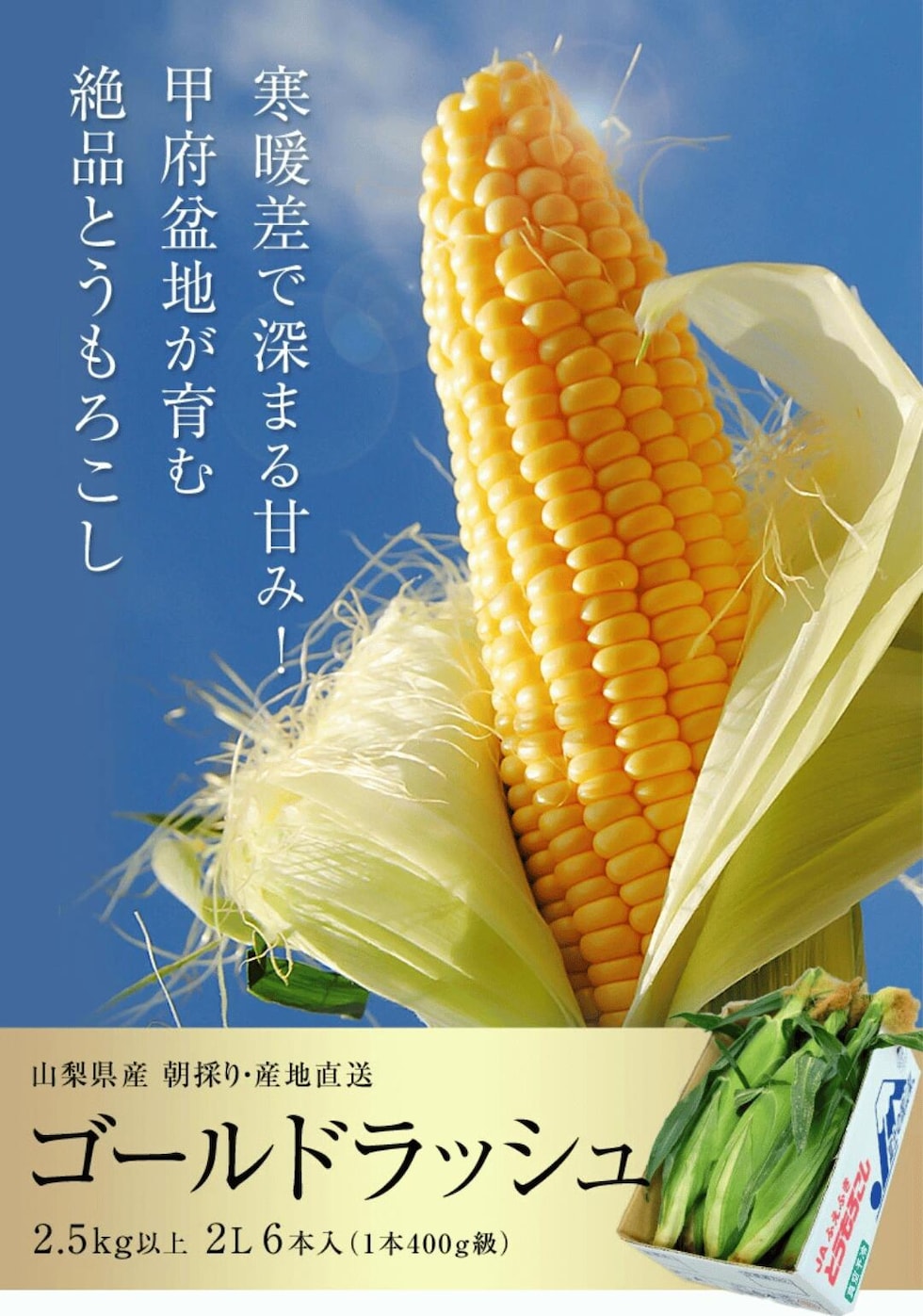 山梨県産ゴールドラッシュ