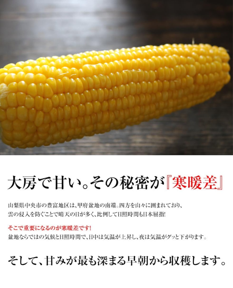 『寒暖差』が甘さの秘訣