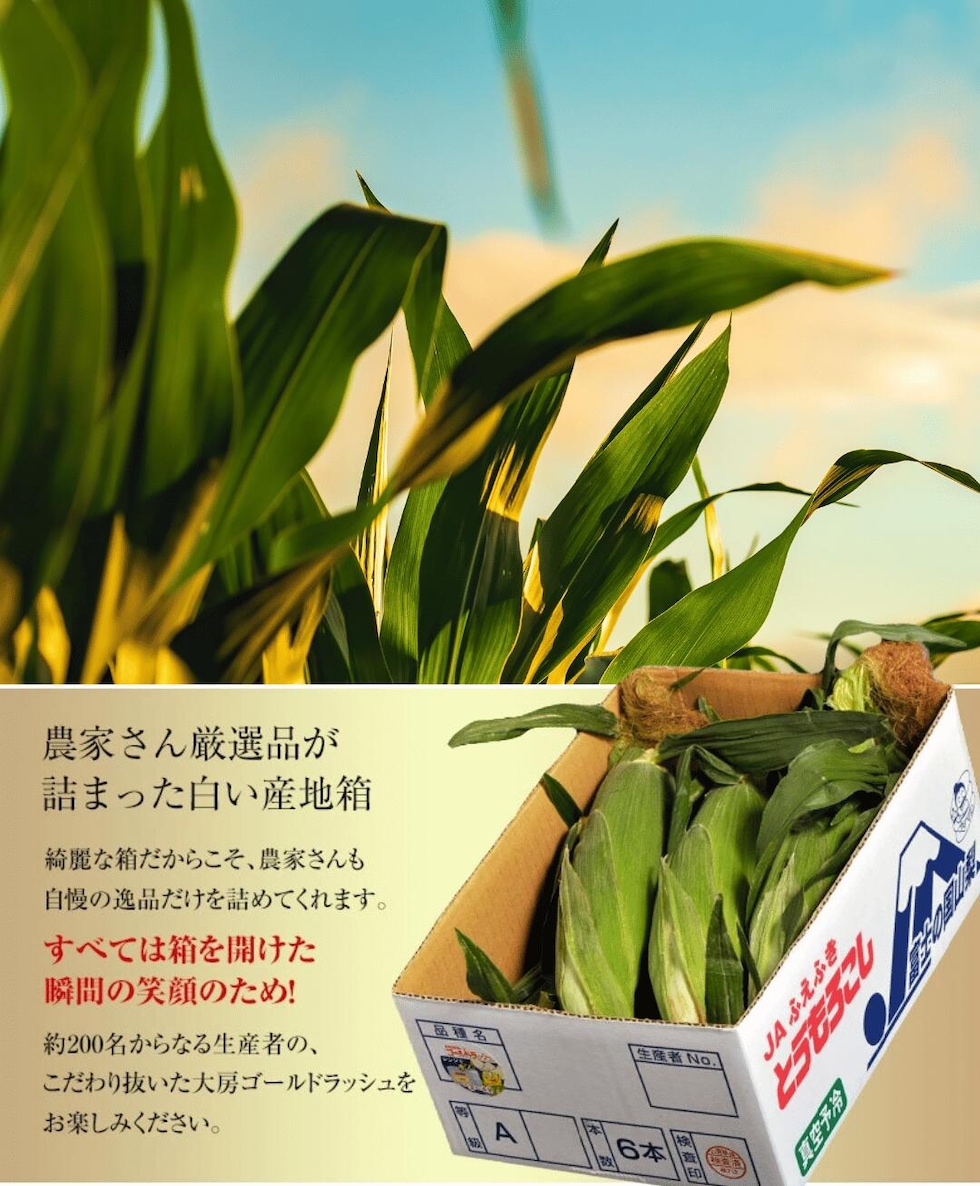 厳選された大房ゴールドラッシュ
