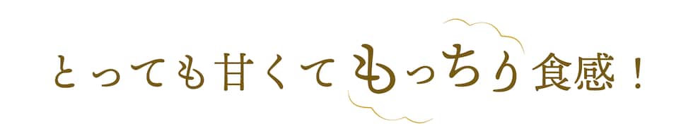 もっちり食感
