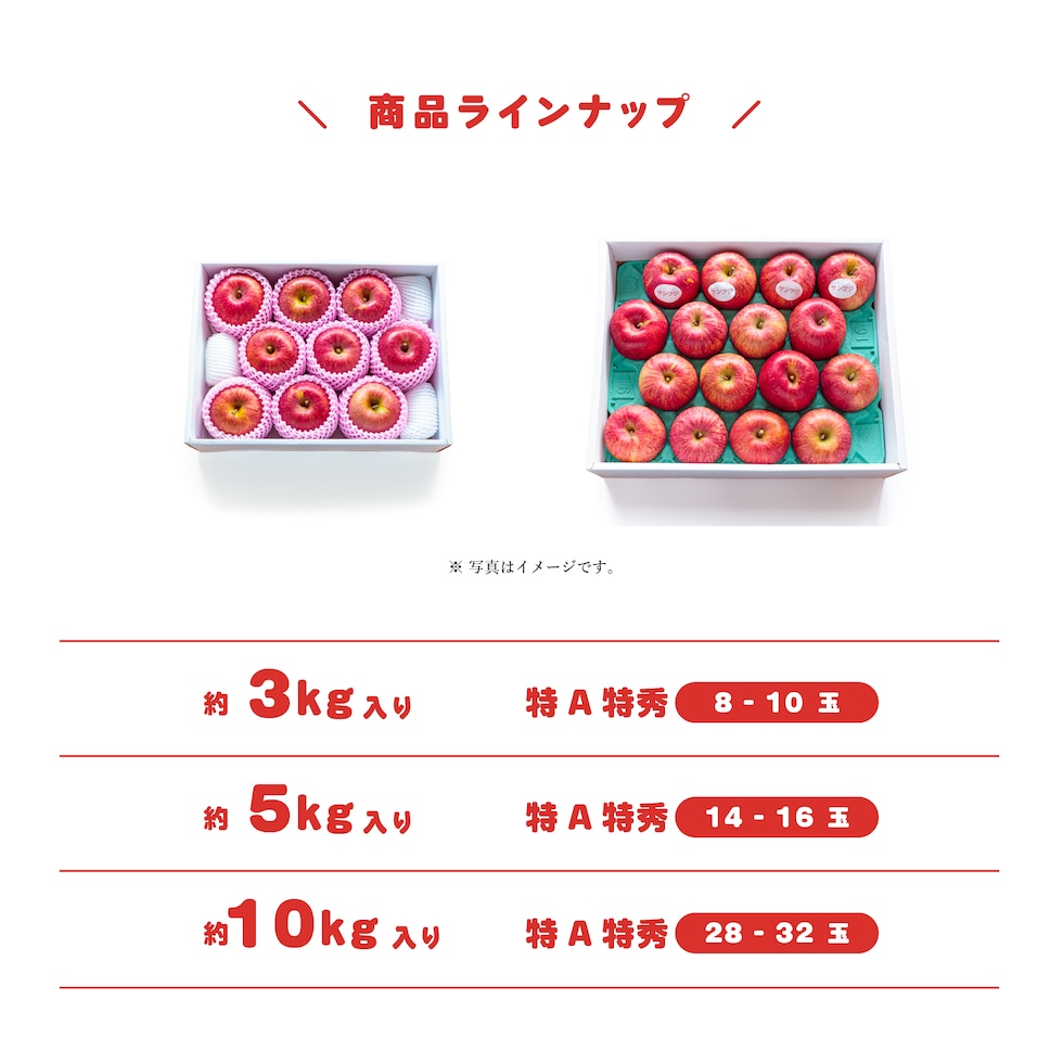 商品ラインナップ