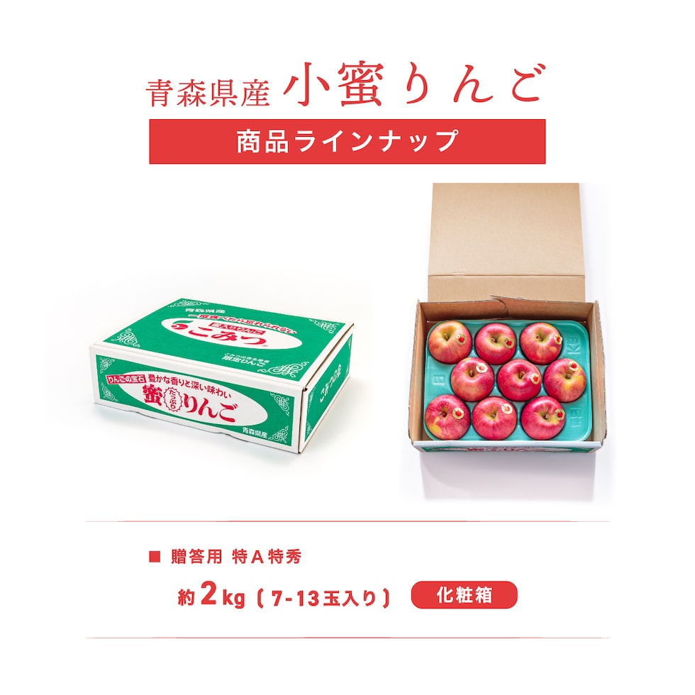 商品ラインナップ