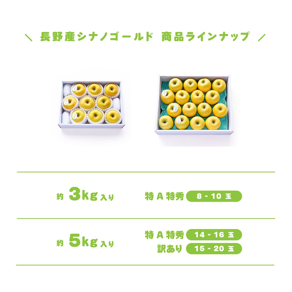 商品ラインナップ