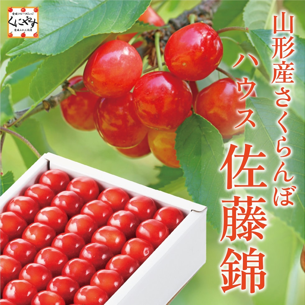 山形産ハウス佐藤錦