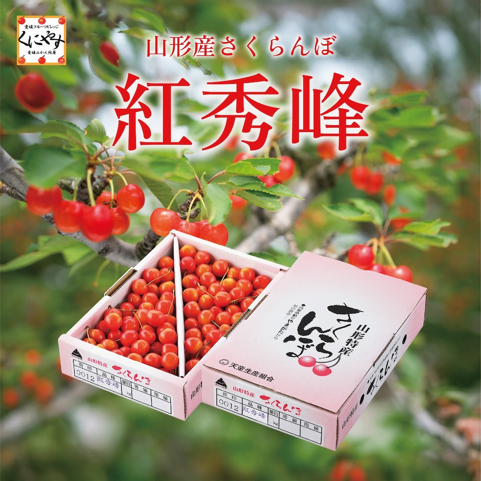 山形産紅秀峰