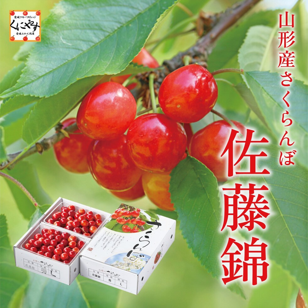 山形産佐藤錦500g