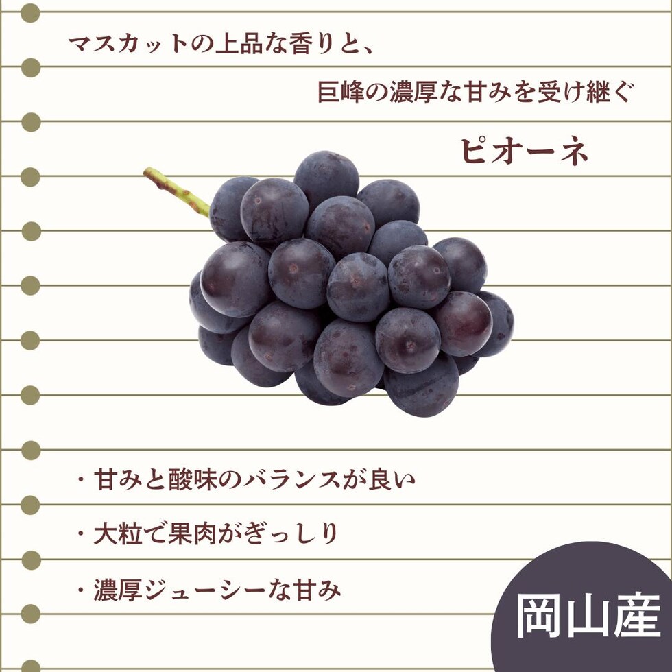 ピオーネの特徴