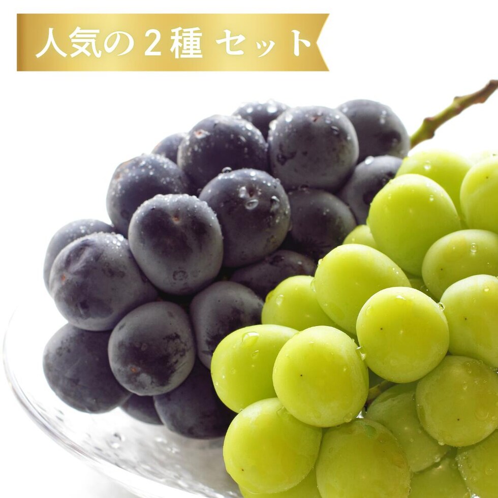 人気の2種セット