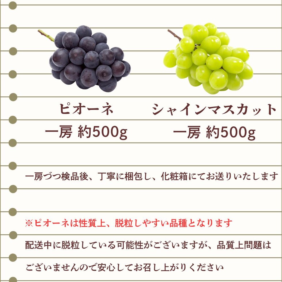 梱包内容