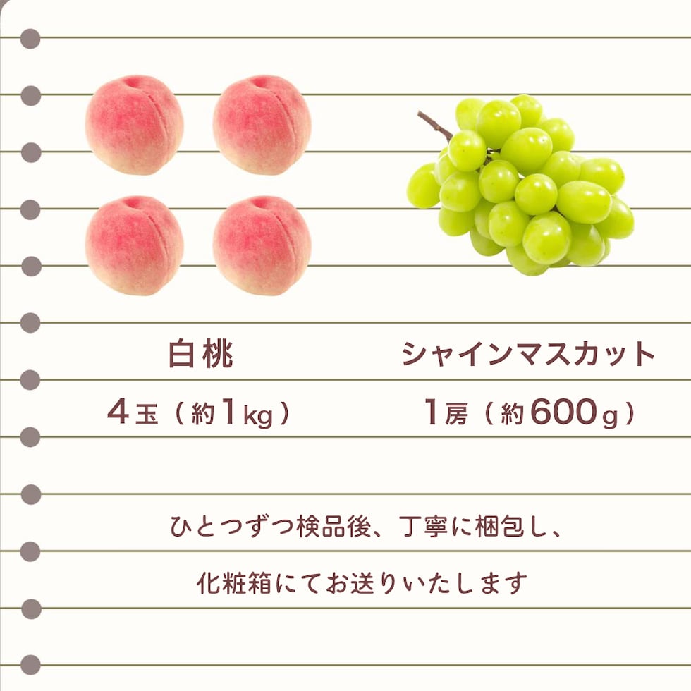 梱包内容