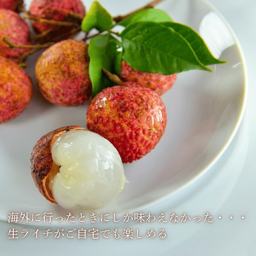 生ライチ