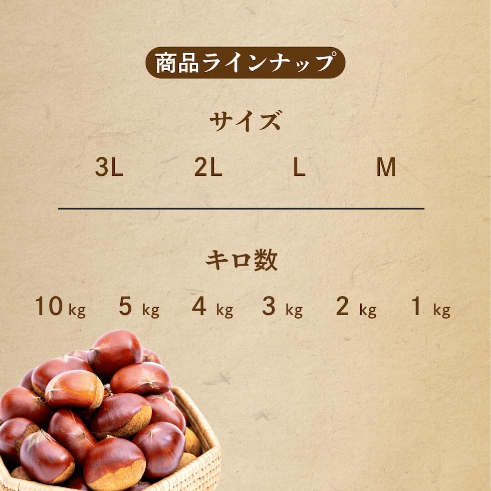 商品ラインナップ