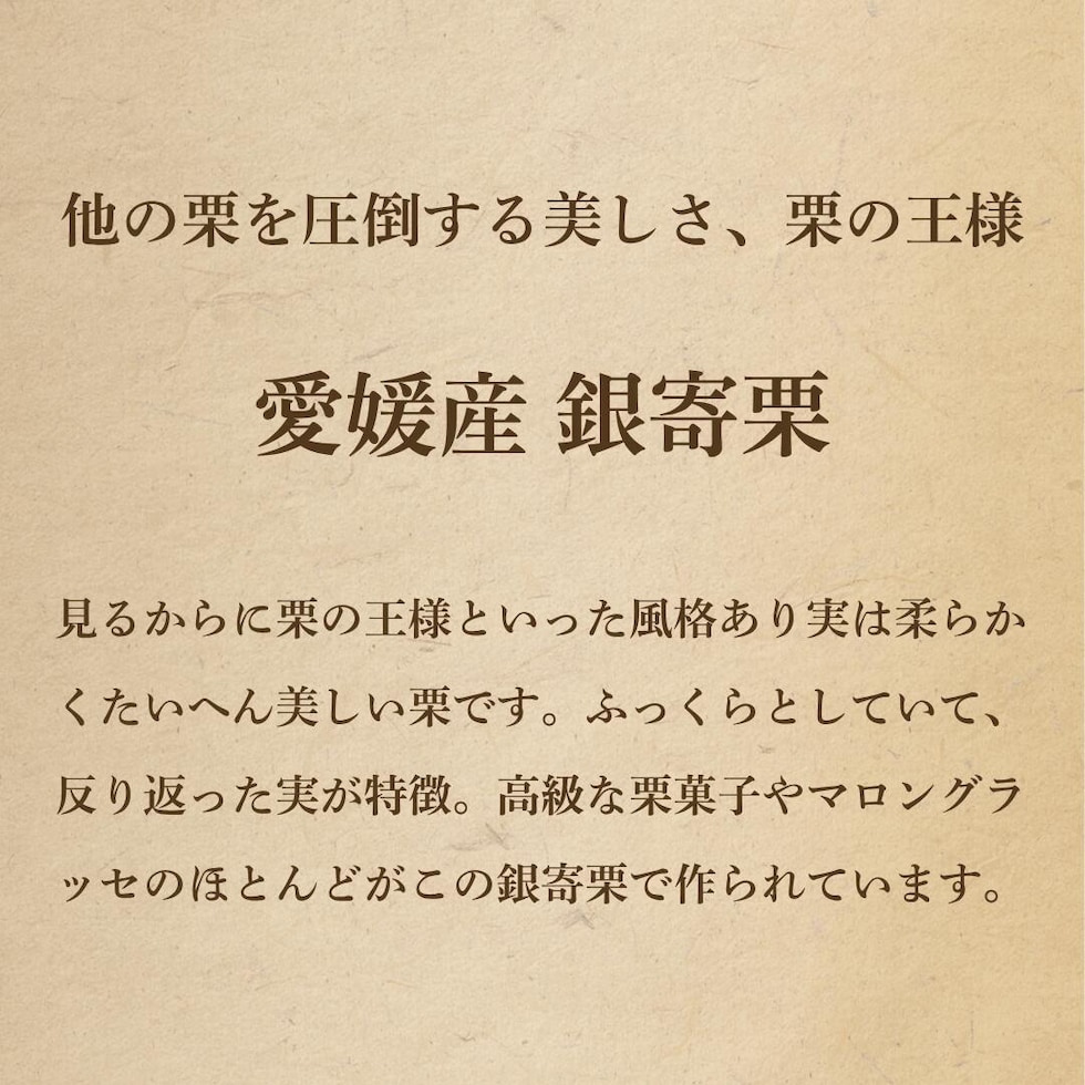 銀寄栗について