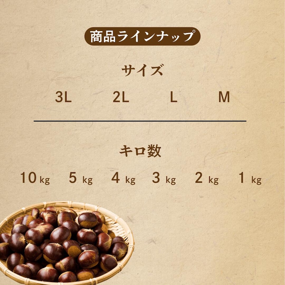 商品ラインナップ