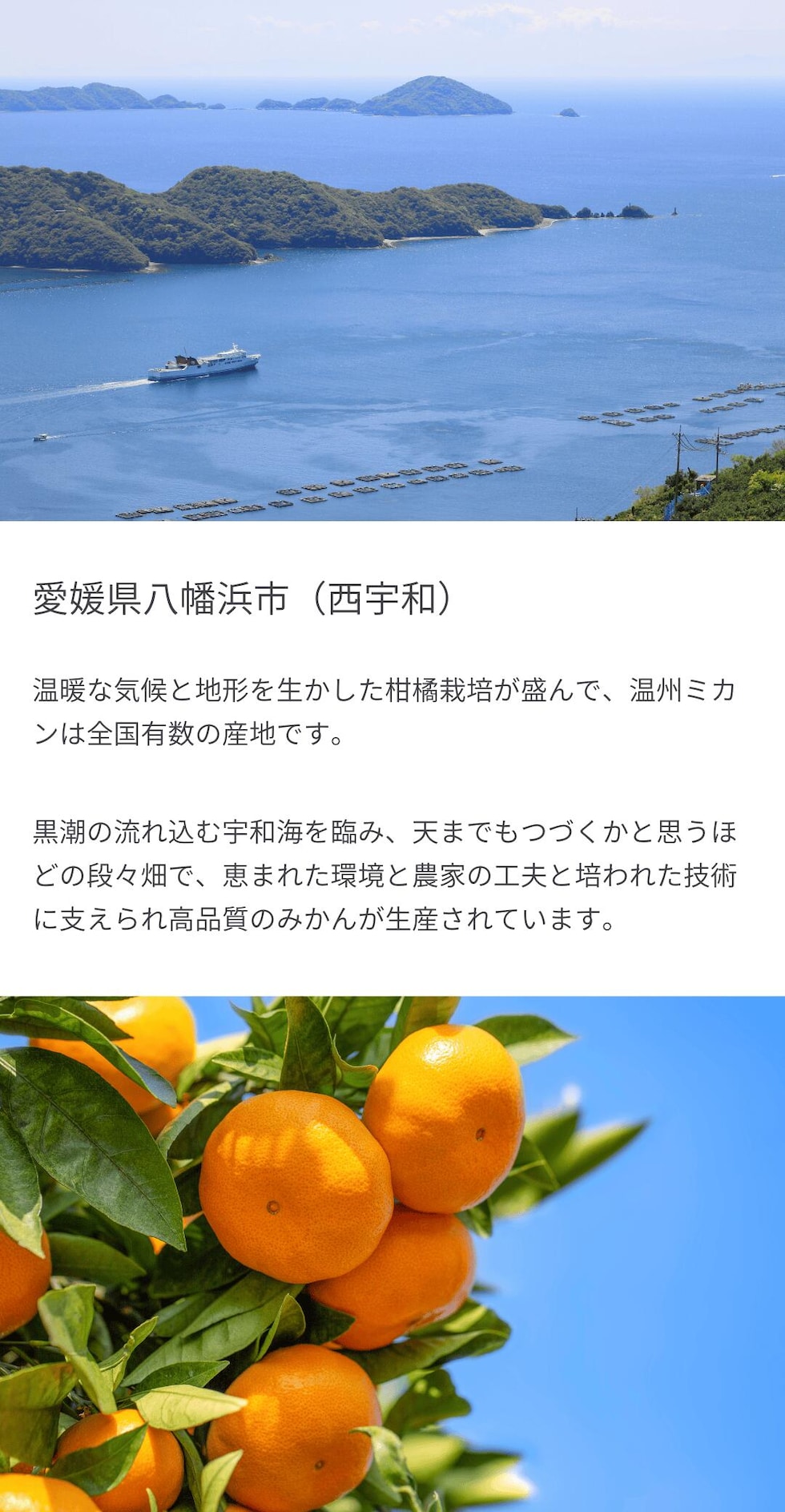 愛媛県八幡浜市