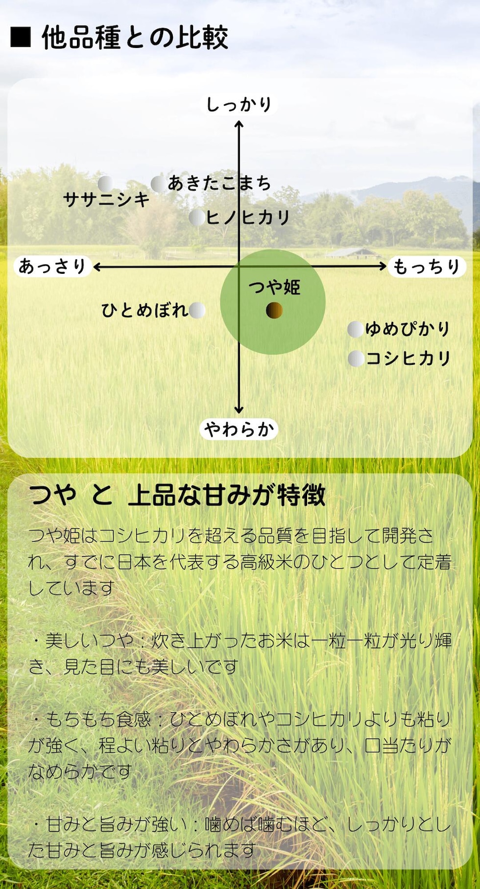 つや姫について