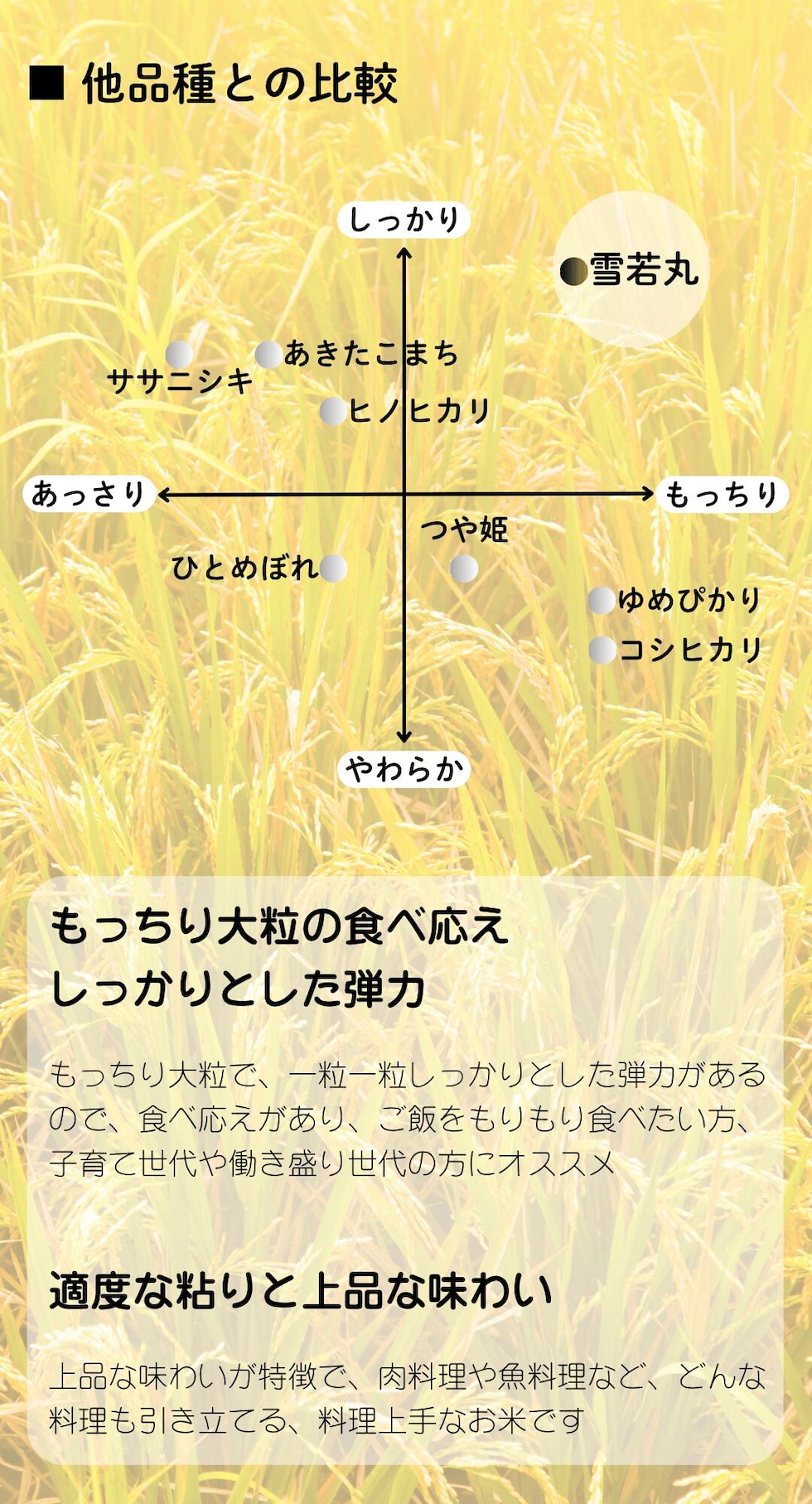 雪若丸について
