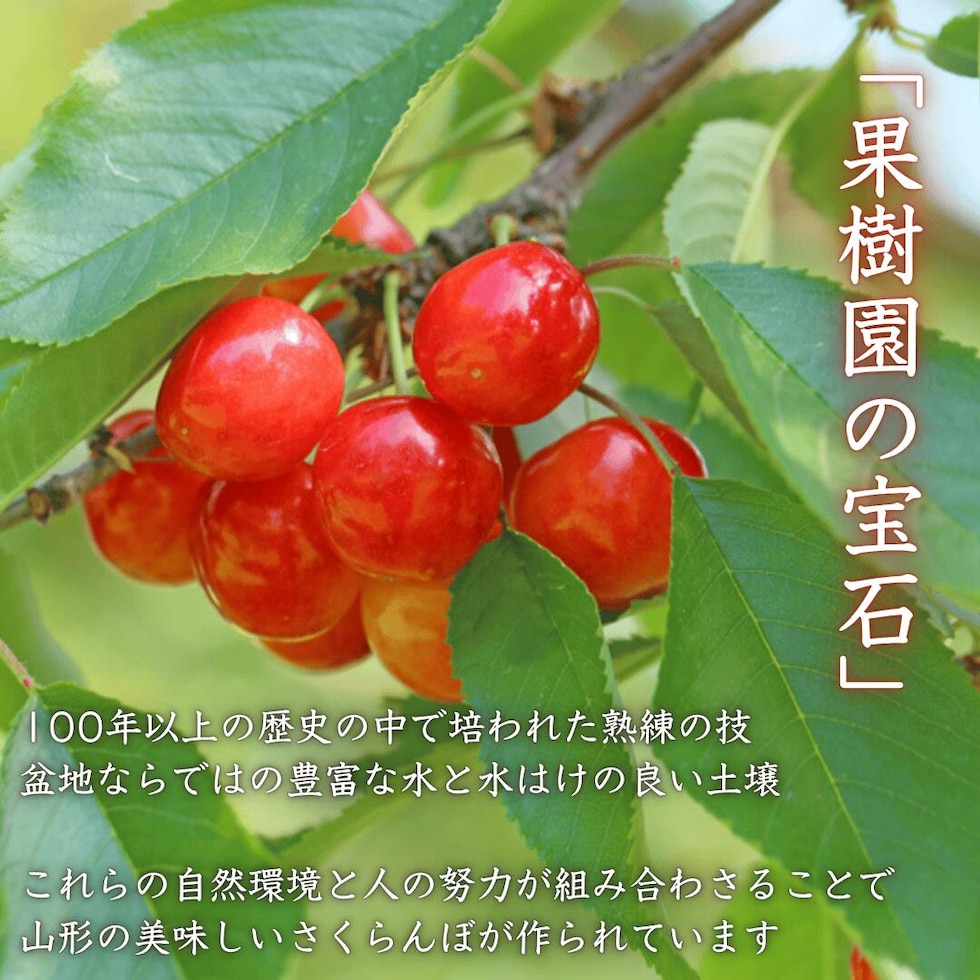 果樹園の宝石
