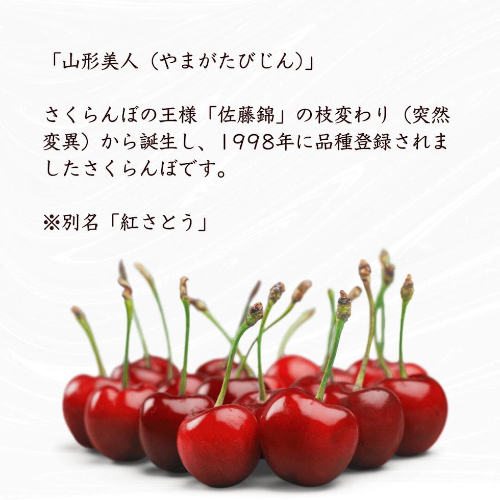 山形美人について