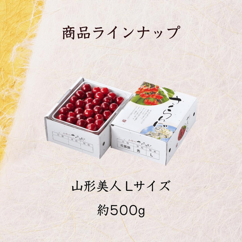 ラインナップ