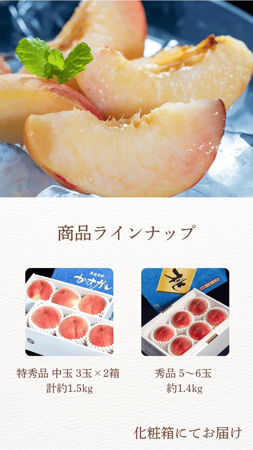 商品ラインナップ