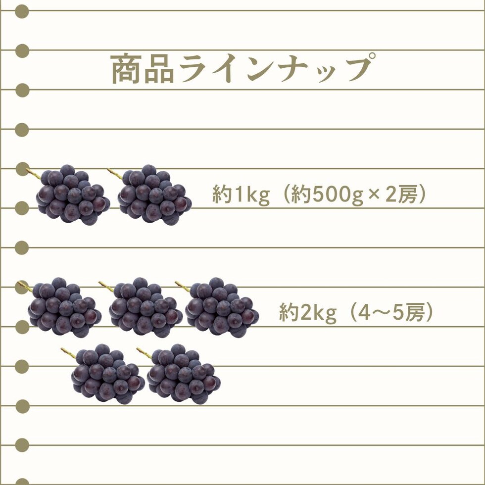 商品ラインナップ