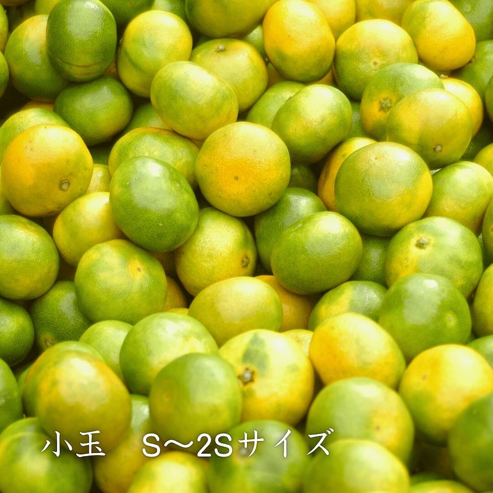小玉イメージ