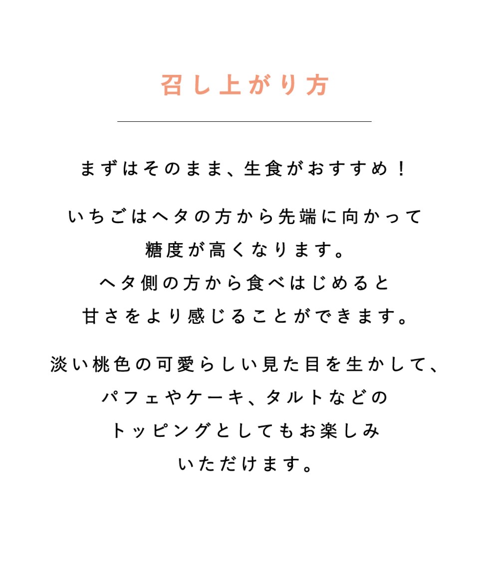 お召し上がり方