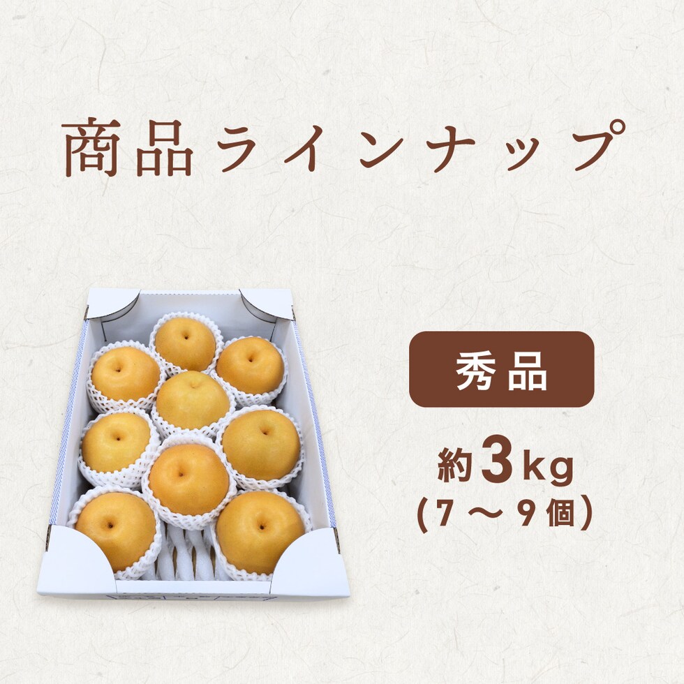 商品ラインナップ