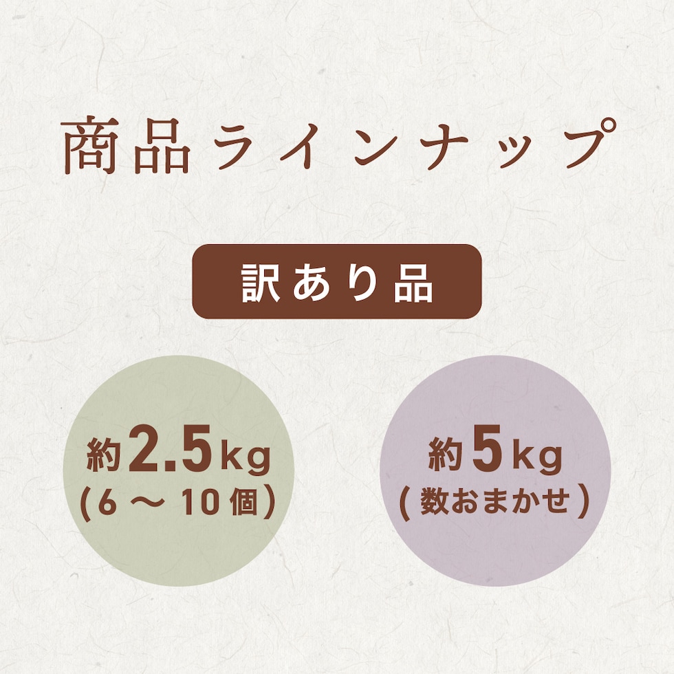 商品ラインナップ
