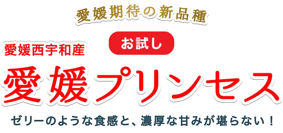 お試し愛媛プリンセス