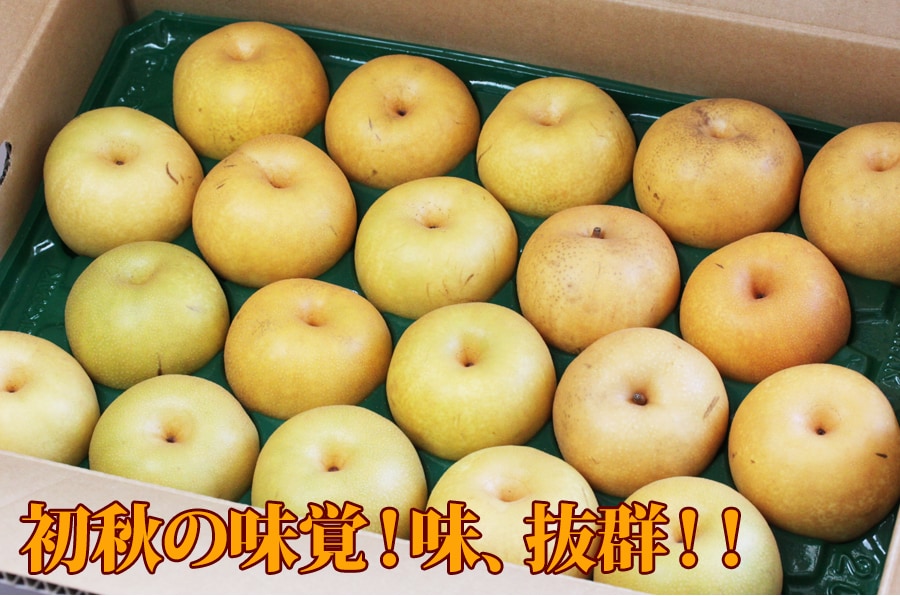 豊水梨イメージ