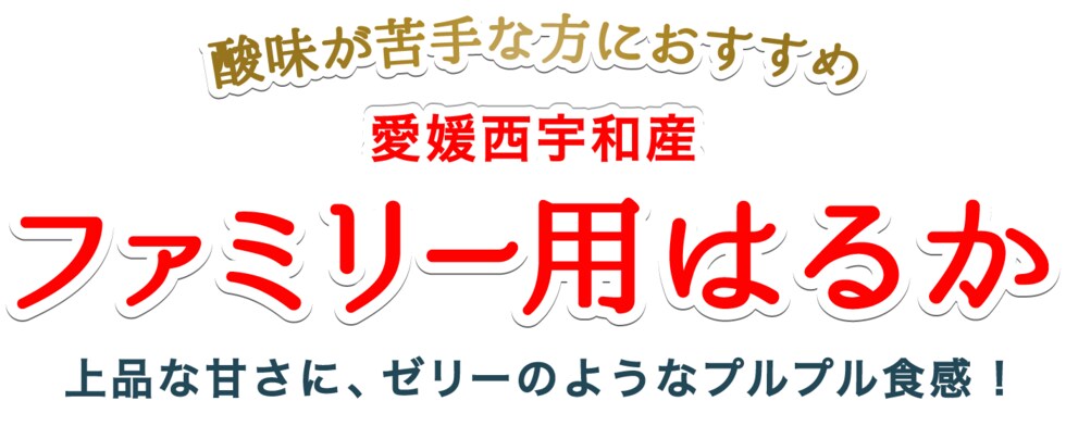 ファミリー愛媛はるか
