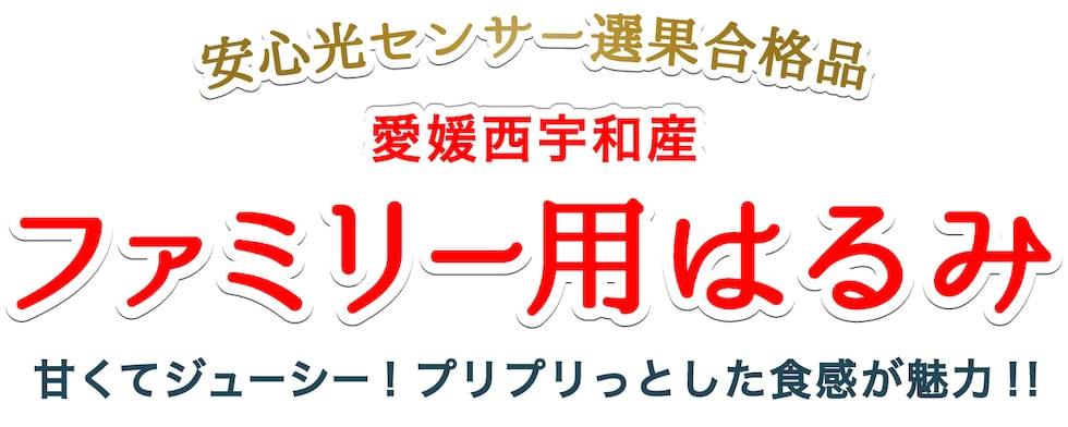 ファミリー用愛媛はるみ