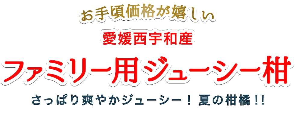 ファミリー用