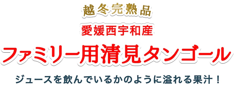 ファミリー清見