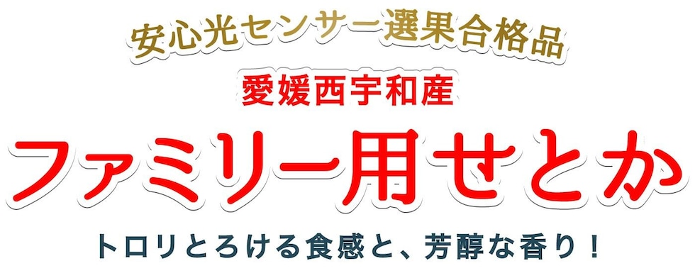ファミリー用愛媛せとか