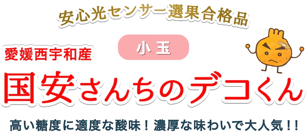 愛媛西宇和産小玉デコくん