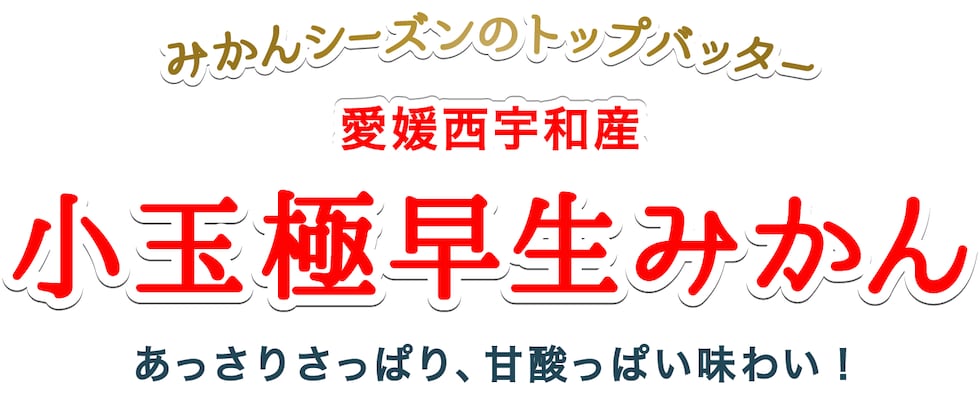 小玉極早生みかん