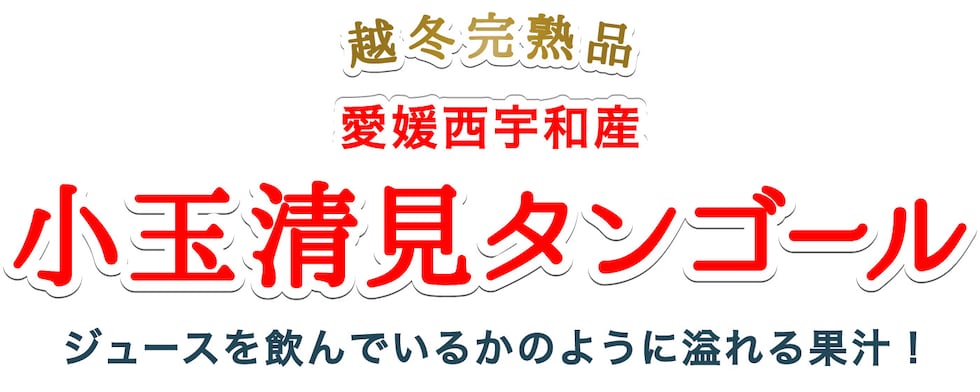 小玉清見タンゴール