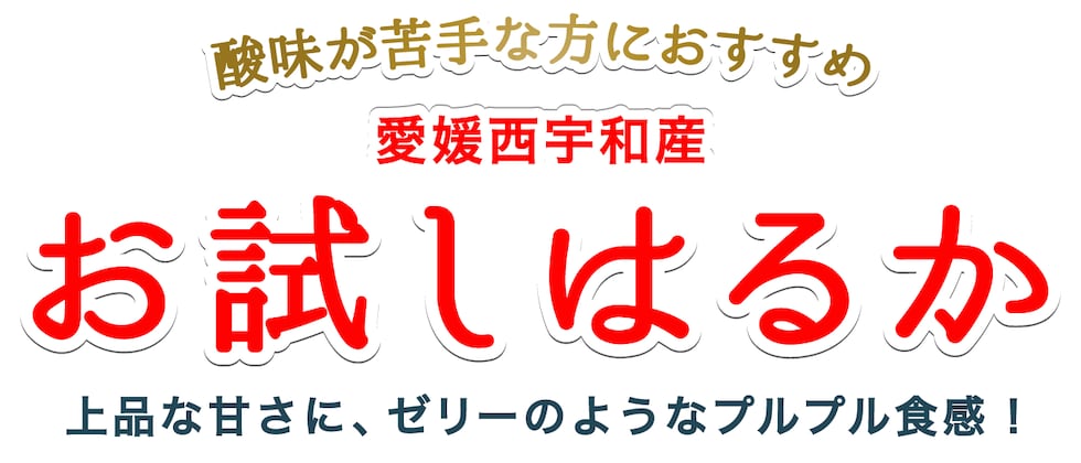 お試し愛媛はるか