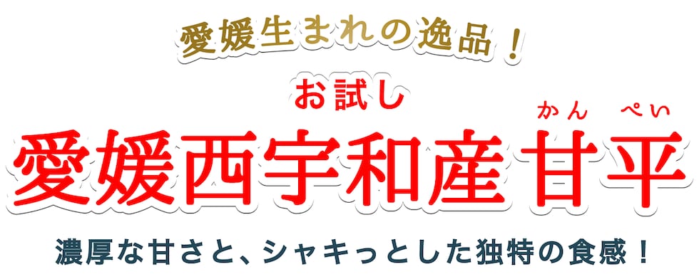 愛媛西宇和産お試し甘平