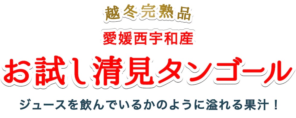 お試し清見タンゴール