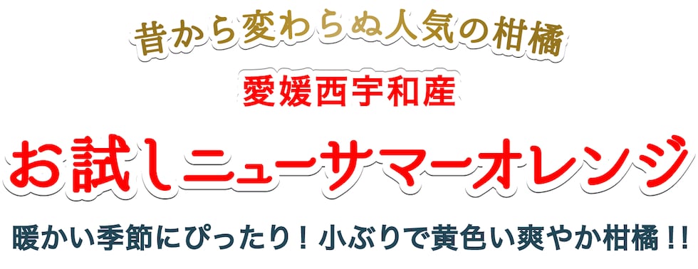 お試し小夏