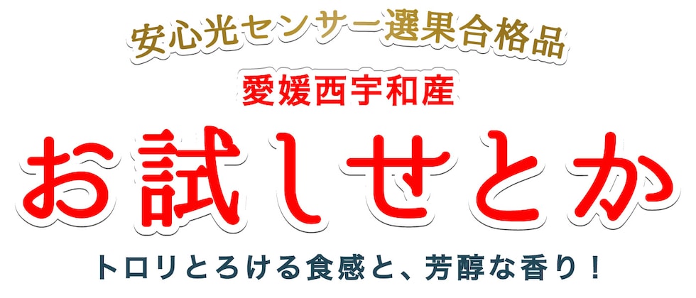 お試し用愛媛せとか